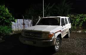 Toyota Dulux